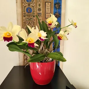 La Casa Nel Borgo Bed & Breakfast